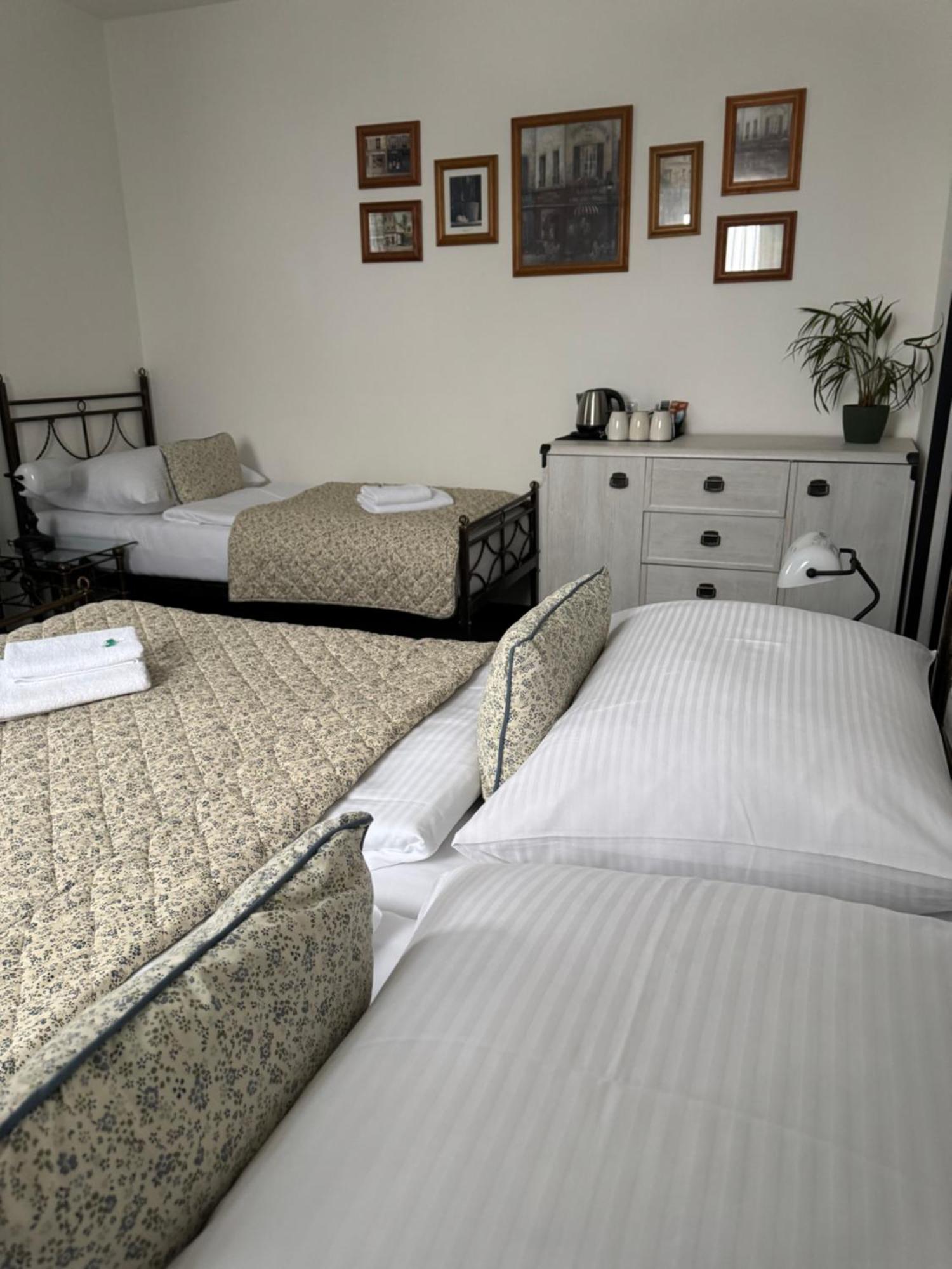 Pension U Draka Karlovy Vary Esterno foto